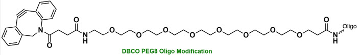 Bio-Synthesis Inc. Oligo Structure